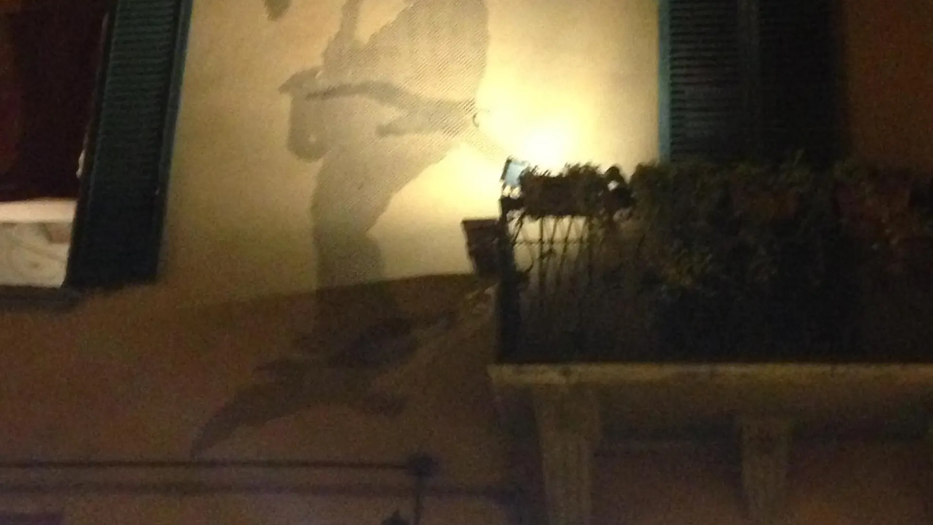 Piccolo Monolocale A Due Passi Da Piazza Maggiore Apartment Bologna